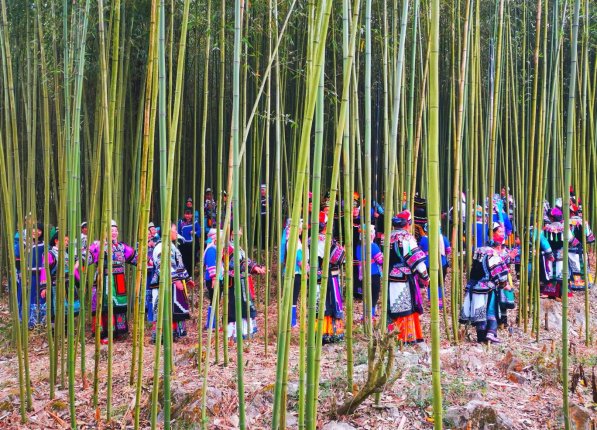 微信图片_20230805111714