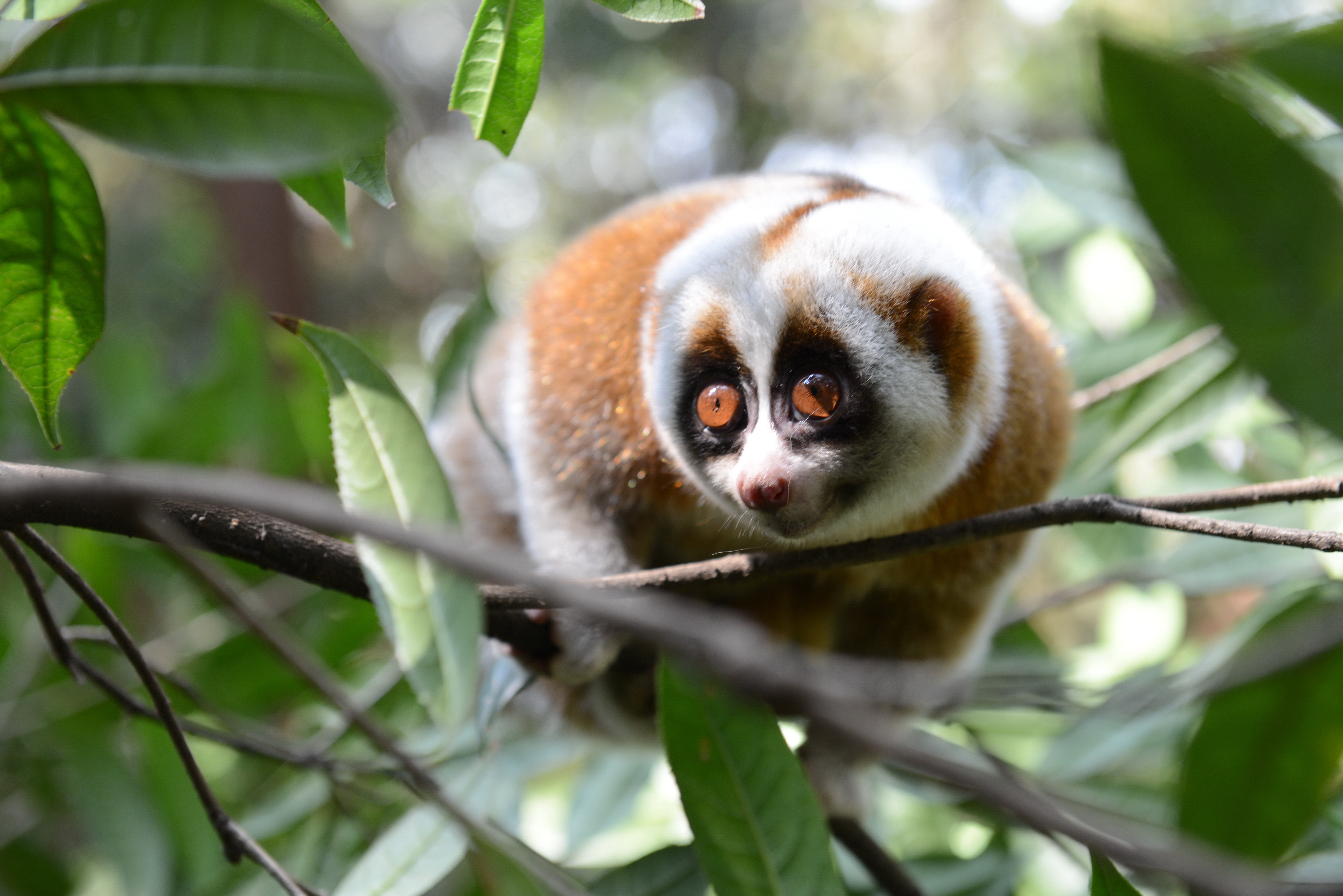 红河两岸绿意浓 人与自然共此时