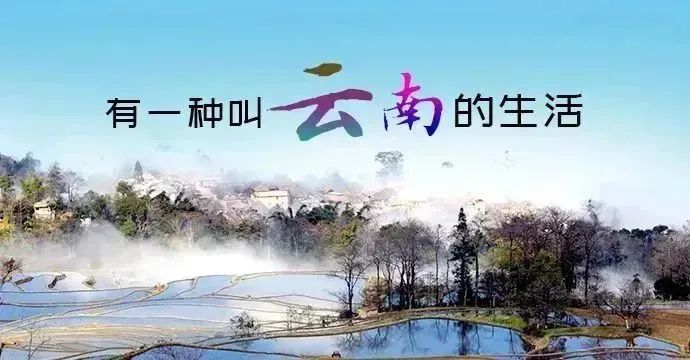 漫天蝶舞！不想只说“蝴蝶好美”