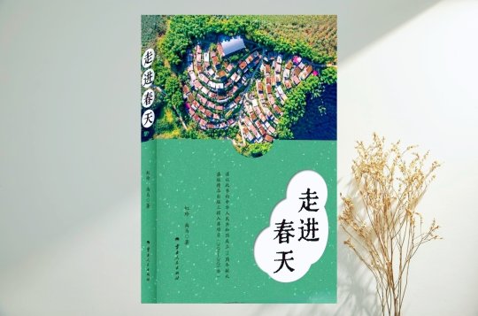 图示, 示意图

中度可信度描述已自动生成:ver1