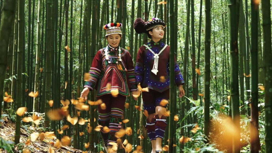 人与蝴蝶共舞 拍摄者 邓艳 （资料图）.jpg