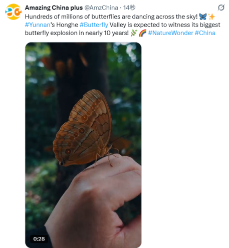 daec7e07589e0f508289622968ef5f14_%E5%9B%BD%E9%99%85%E5%9C%A8%E7%BA%BF2.png