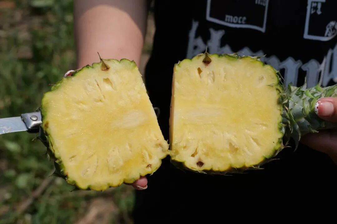 bab572307f897c19c3c014f153e9f1ce.jpg