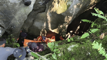 4.gif