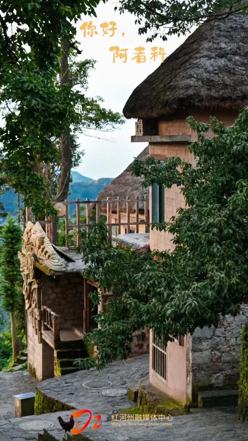 图怪兽_七天活动安排简约旅行摄影图海报 (1).png