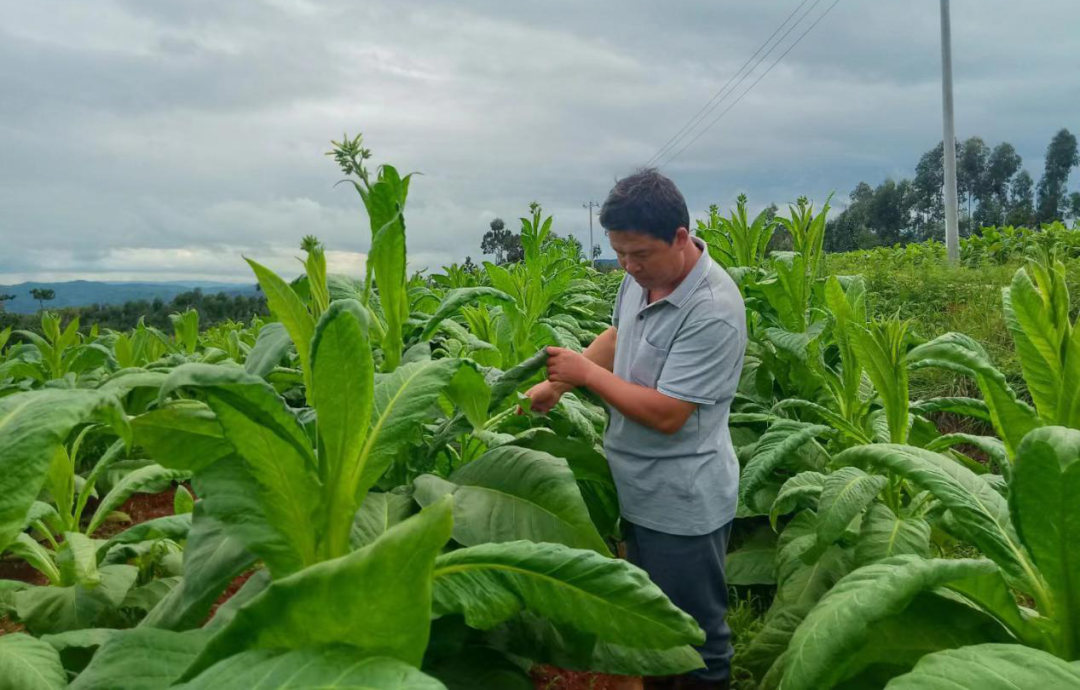 图片16.png 图片16.png