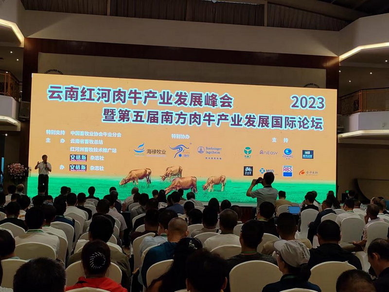 图片1.JPG
