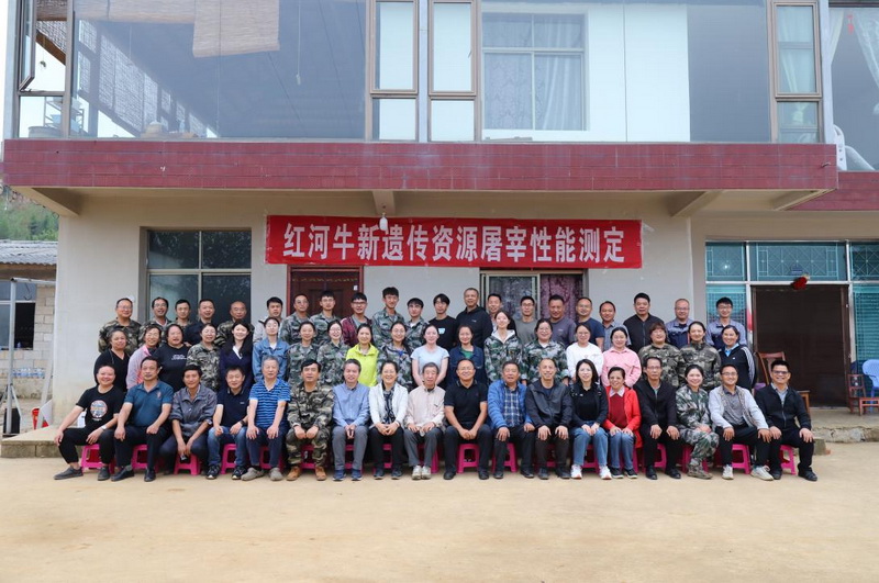 图片2.JPG