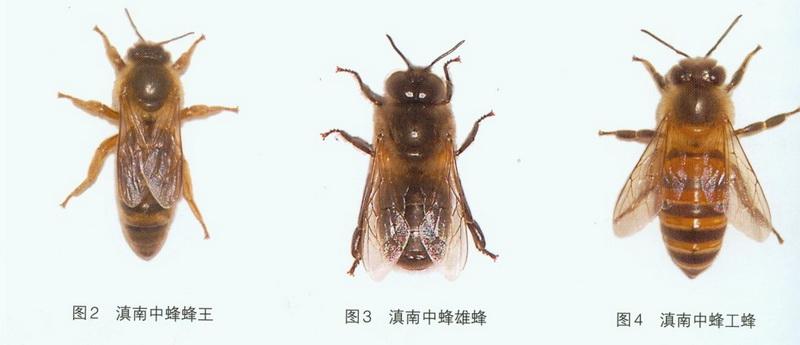 图片6.JPG