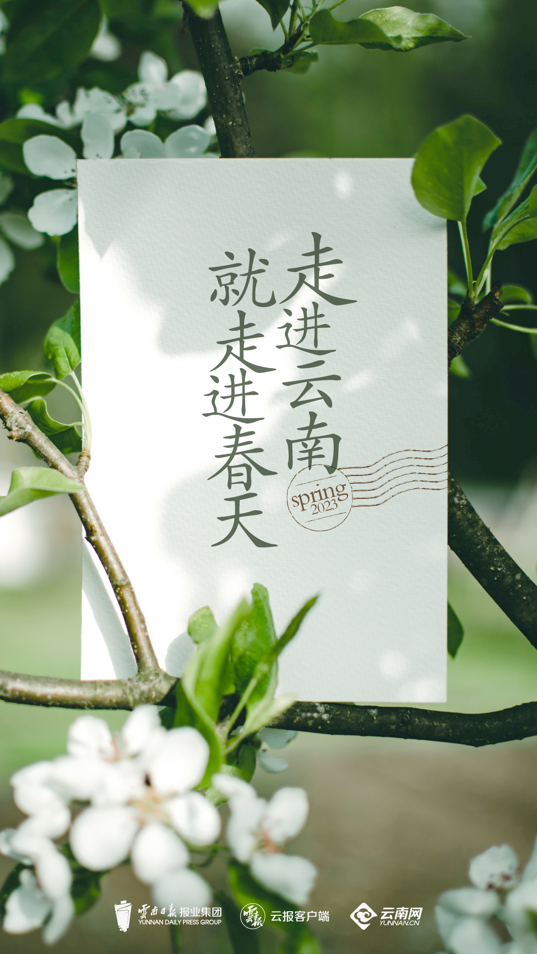 微信图片_20230322210245.jpg