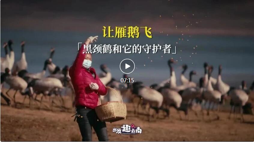 QQ截图20230525210220.jpg