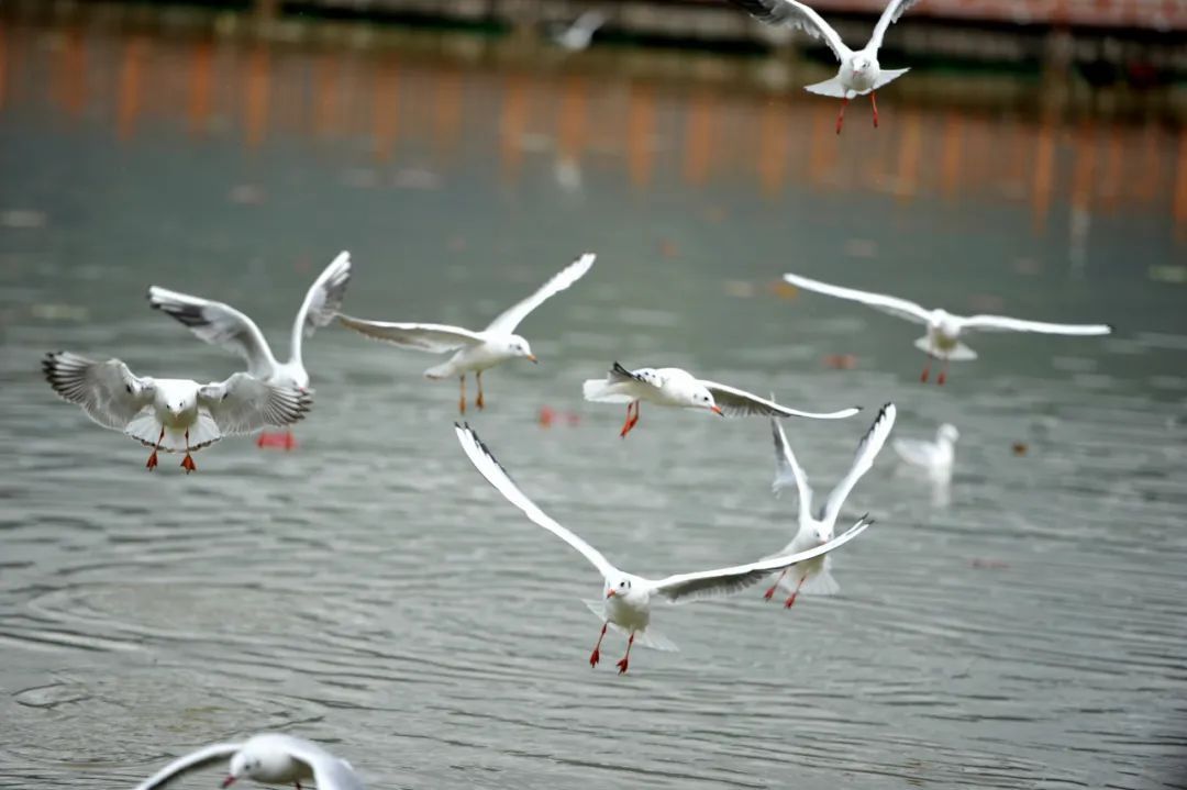 W020231202828992304450.jpg W020231202828992304450.jpg