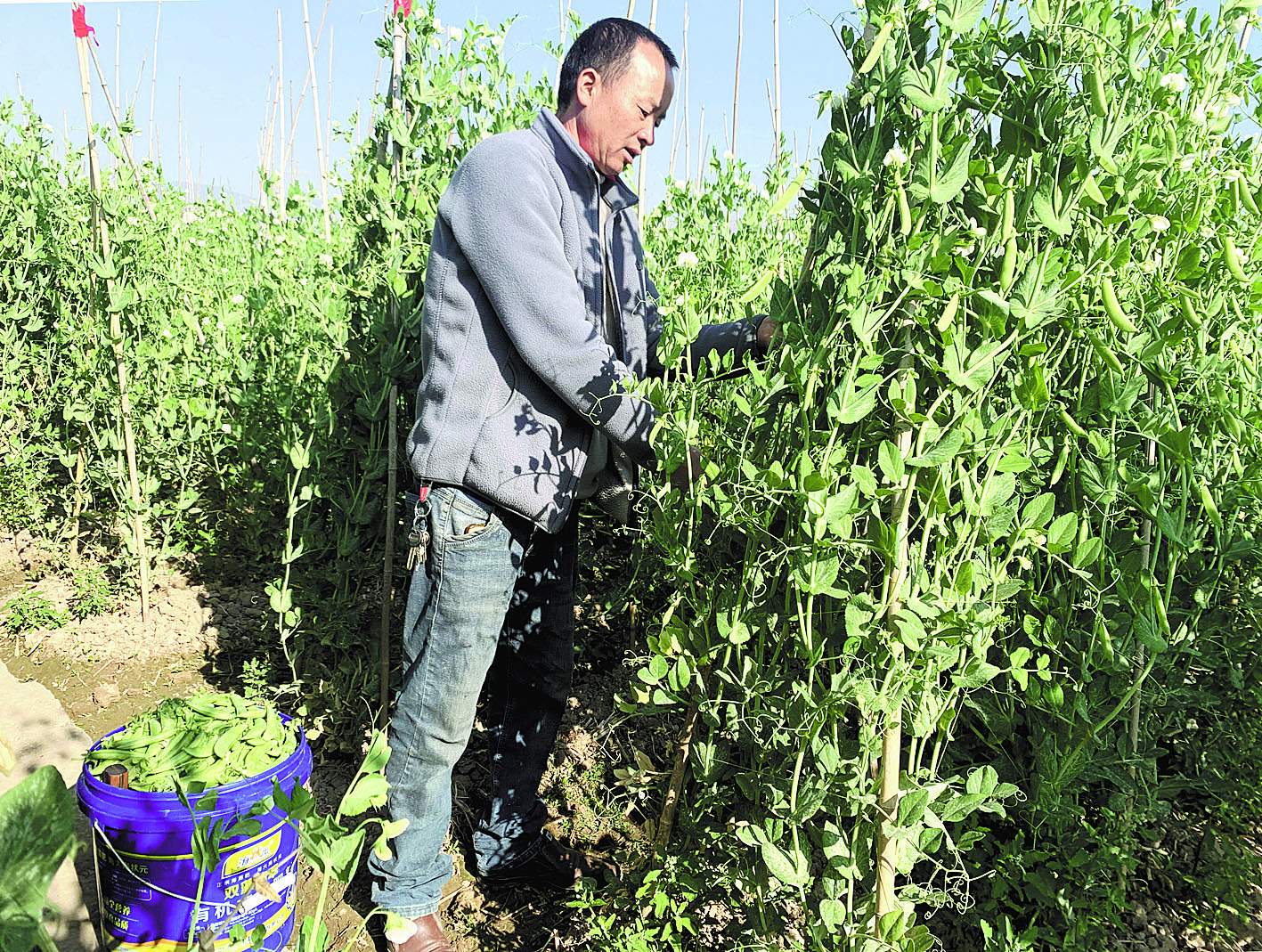 5_1030964.jpg 5_1030964.jpg