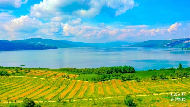 华侨城昆明阳宗海度假区冬樱花绽放