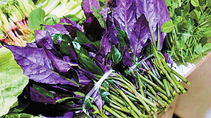 春菜尝鲜正当时