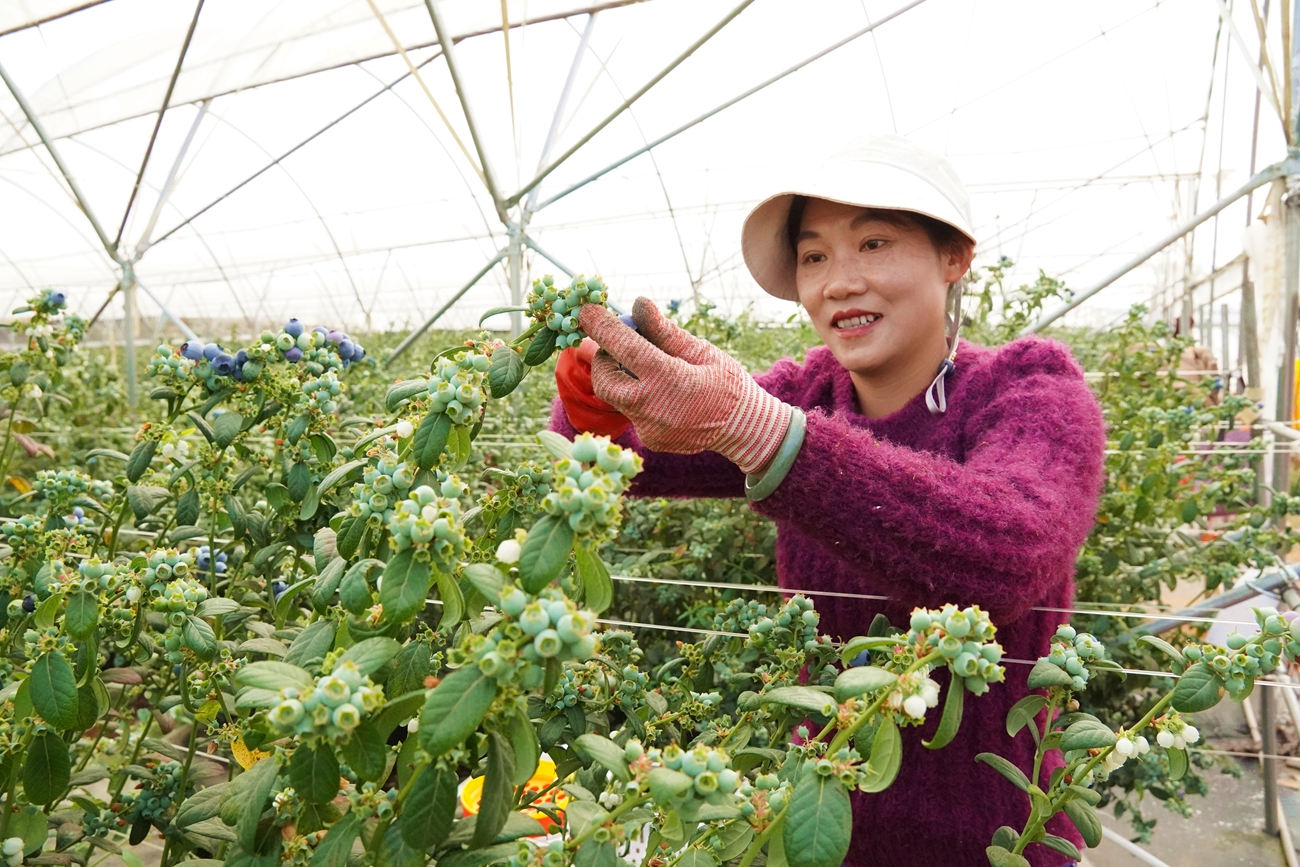 土地“活”起来 腰包“鼓”起来