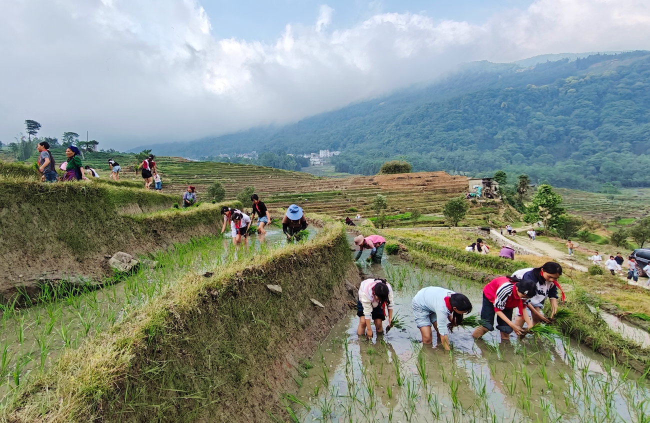 把课堂搬进青山绿水间